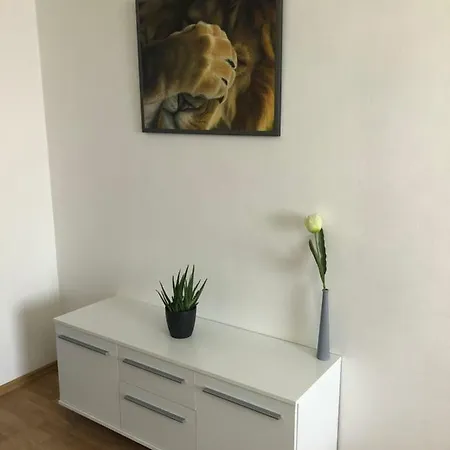 Apartman U Nemocnice Апартаменты Оломоуц