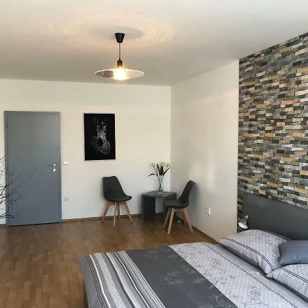 Apartman U Nemocnice דירה אולומוץ